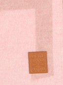 LOEWE SCARF MULTI PINK