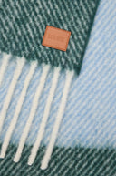 LOEWE STRIPED SCARF BLUE/GREEN