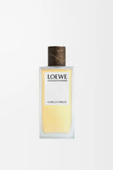 LOEWE UN PASEO POR MADRID LA BELLA CIBELES EDP 100ML