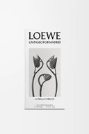 LOEWE UN PASEO POR MADRID LA BELLA CIBELES EDP 100ML