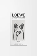 LOEWE UN PASEO POR MADRID MAYRIT EDP 100ML