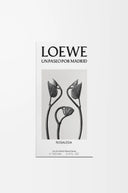 LOEWE UN PASEO POR MADRID ROSALEDA EDP 100ML