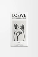 LOEWE UN PASEO POR MADRID DORÉ EDP 100ML