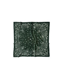 LESCARF CASHMERE PAISLEY SCARF GREEN 65CM