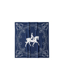 LESCARF EQUUS SCARF NAVY 65CM